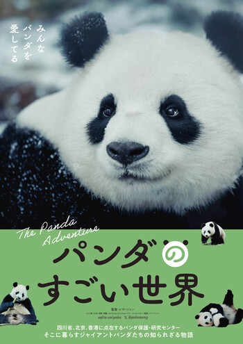 パンダのすごい世界　日本語ナレーション版